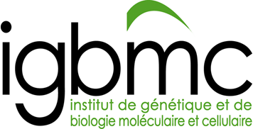 IGBMC